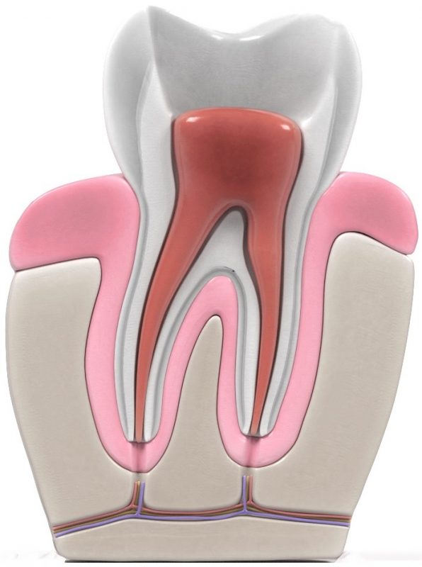 Cómo se hace una endodoncia