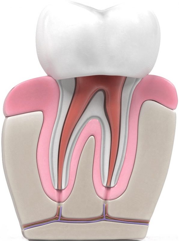 Cuánto cuesta una endodoncia